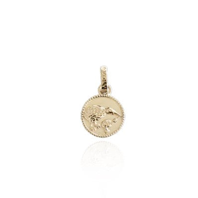 Evolve Jewellery Kiwi Coin Gold Plated Pendant Charm | Heritage Jewellers