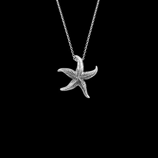 Evolve Coastal Starfish Necklace (Love)